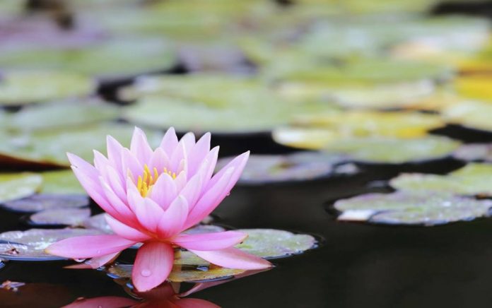 The secret of instant calmness The secret of instant calmness