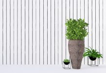 Be More, Own Less: Becoming a Minimalist